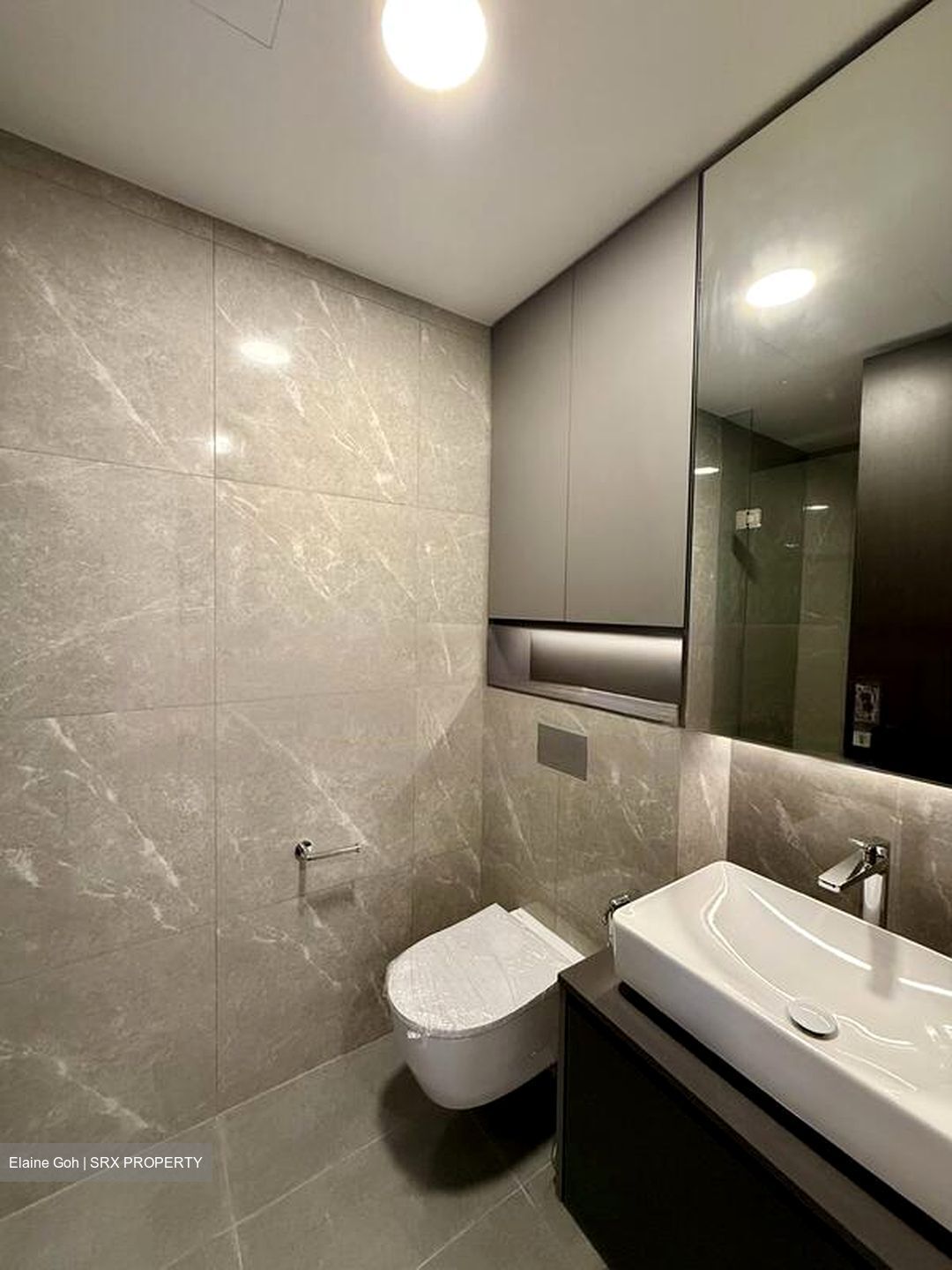 Irwell Hill Residences (D9), Apartment #455055031